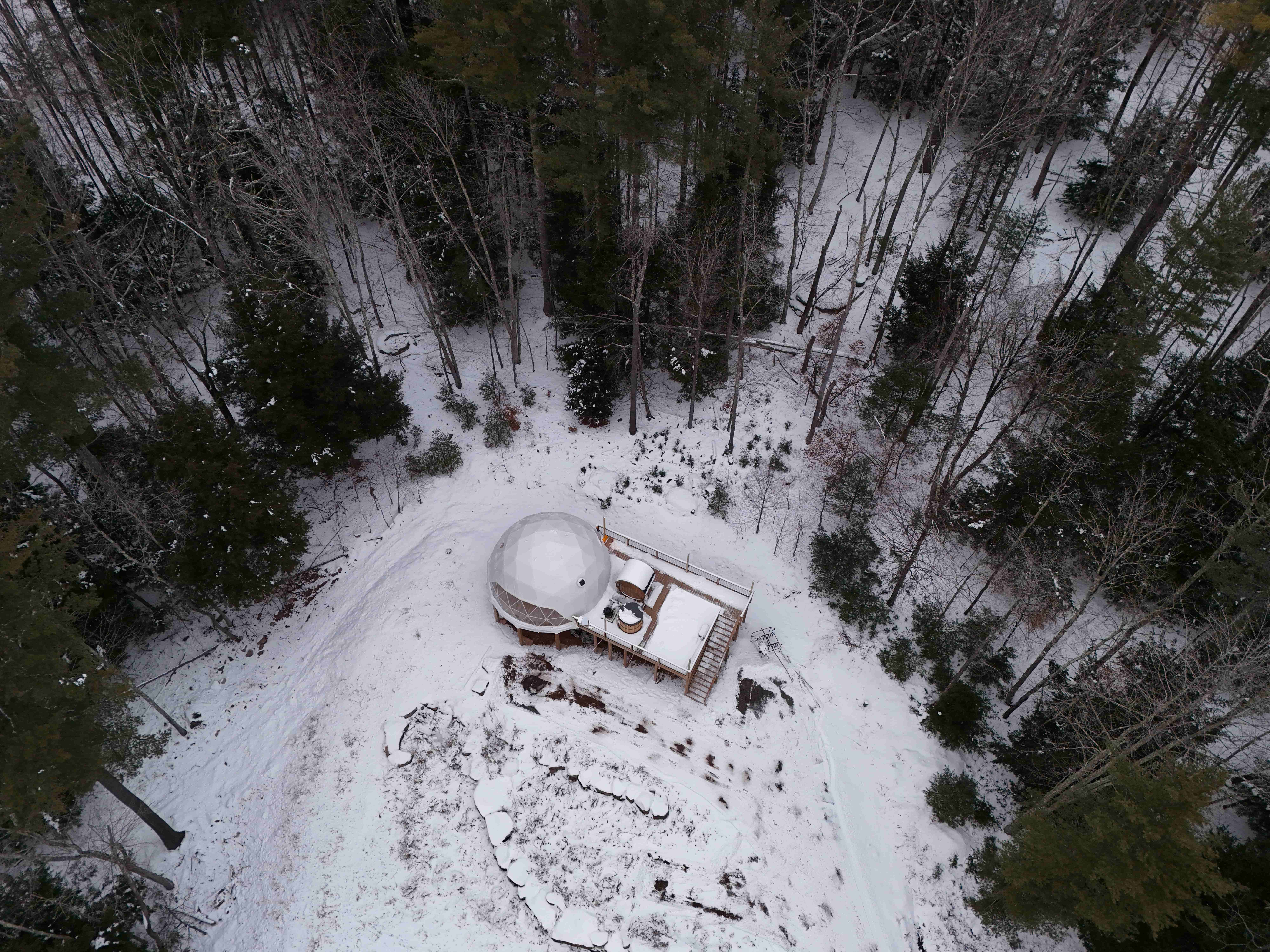 Aerial view of dome in snowy forest